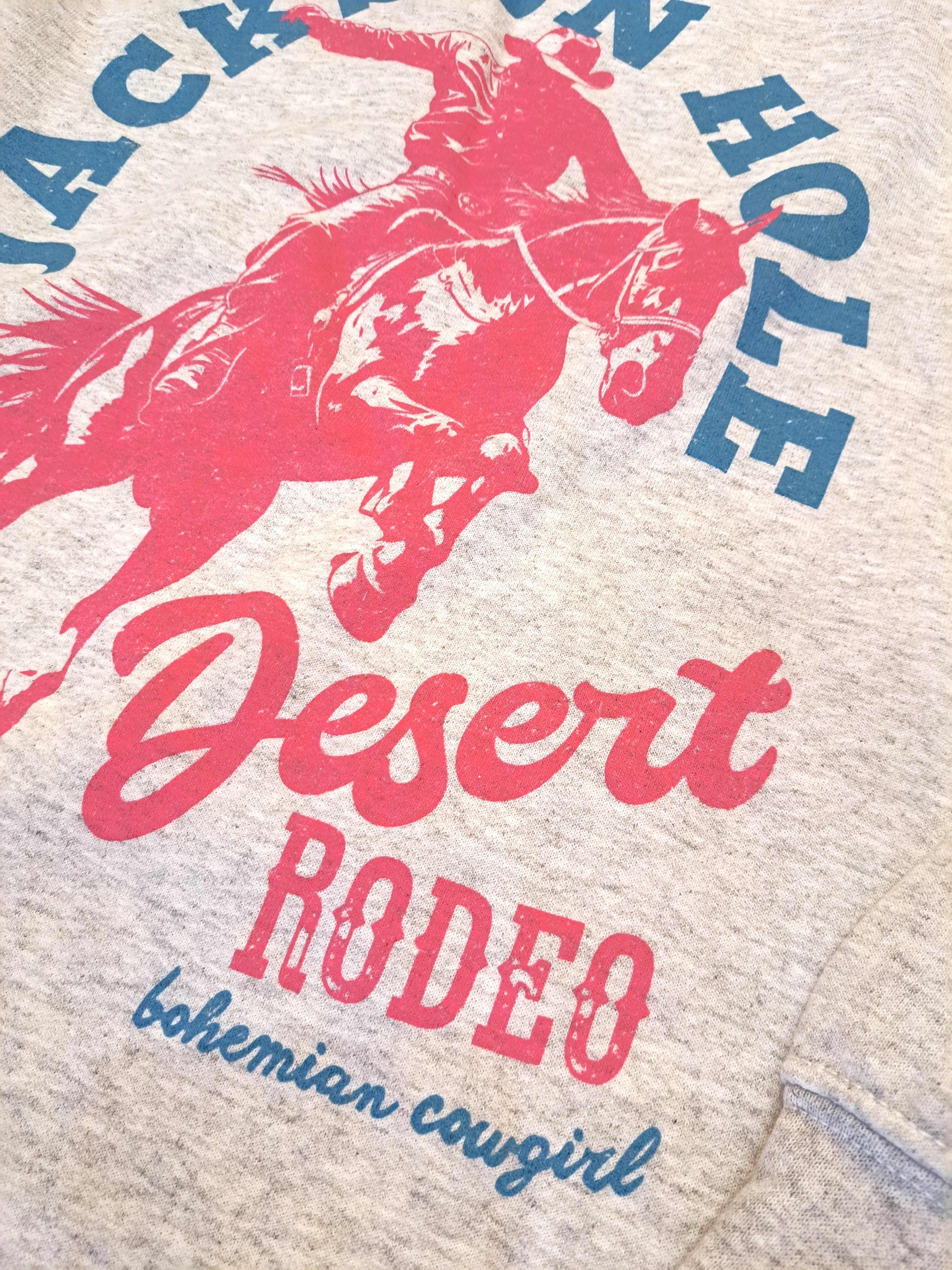 Jackson Hole Desert Rodeo Sweatshirt - WS